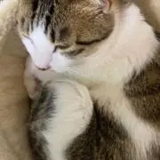 あっ