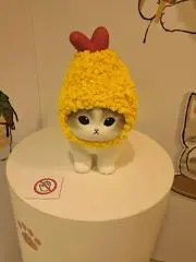 ☆るるるん‪☆断捨離中‪☆の画像