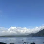 まぴの画像