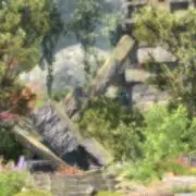 tori_dood（トリドード）の画像