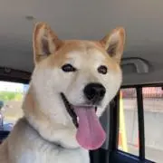 てく