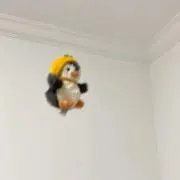 Rの画像