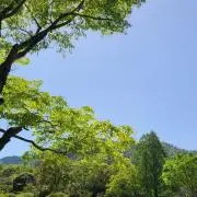 まこちゃんの画像