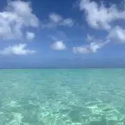 こなみんの画像