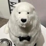 のこの画像