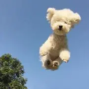 なの画像