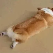 きよの画像