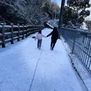Sの画像