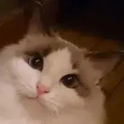 マコト