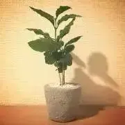 BITTERsの画像