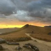 Rの画像