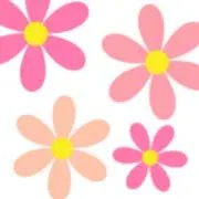 はな✾の画像