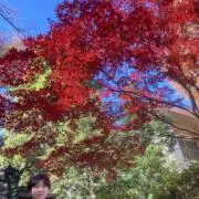バニラかおるの画像