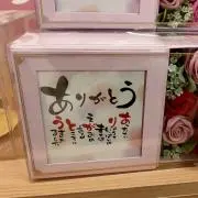 ゆうこりんの画像