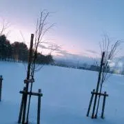 あいの画像