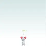 haruの画像