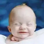 LICOの画像