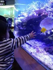 きー♥おまとめ購入大歓迎♥の画像