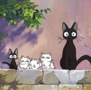 MooMの画像