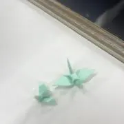 インコの画像