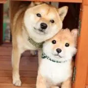 ゆーなぎの画像