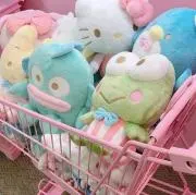 Hoshiの画像
