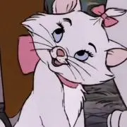 ココの画像