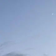 m ⭐︎断捨離中⭐︎プロフ値下げ条件有の画像
