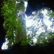 monchanの画像