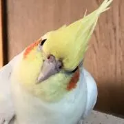 べに