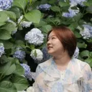 太川の画像