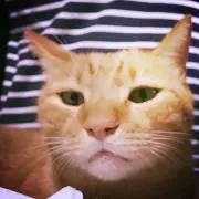 nanakoの画像