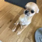 ^_^ちんの画像