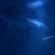 とらべる