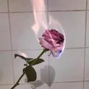 りりなの画像