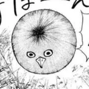 るぴの画像