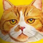 カルの画像