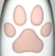 Miaowの画像
