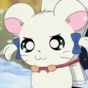 AHOF 日本 ミニファンコンサート VIP 特典トレカ ハン 8枚セット