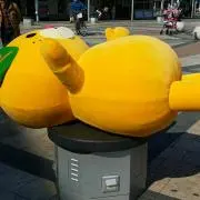 こっとん