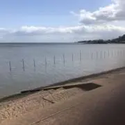 四面楚歌の画像