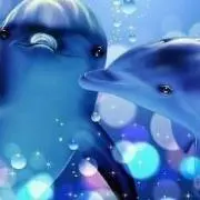 ⭐︎ひ★