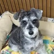 まなぶんたった