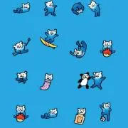 ぱっちょ♪の画像