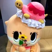 たてこ