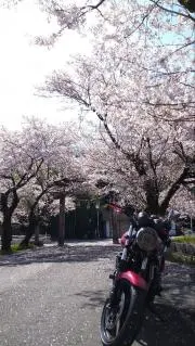 アエラス