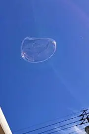 しろくろかえるの画像