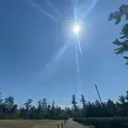 にかの画像