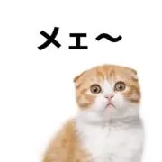 イッヌ(うさぎ)の画像