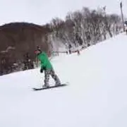 きょんの画像